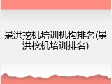 景洪挖机培训机构排名(景洪挖机培训排名)