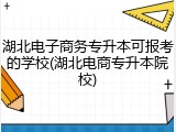 湖北电子商务专升本可报考的学校(湖北电商专升本院校)