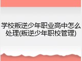 学校叛逆少年职业高中怎么处理(叛逆少年职校管理)