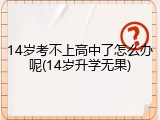 14岁考不上高中了怎么办呢(14岁升学无果)