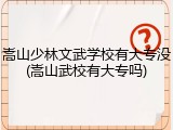 嵩山少林文武学校有大专没(嵩山武校有大专吗)
