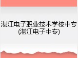 湛江电子职业技术学校中专(湛江电子中专)