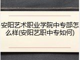 安阳艺术职业学院中专部怎么样(安阳艺职中专如何)