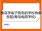 青岛学电子商务的学校有哪些呢(青岛电商学校)