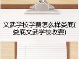文武学校学费怎么样娄底(娄底文武学校收费)