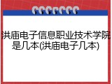洪庙电子信息职业技术学院是几本(洪庙电子几本)