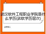 武汉软件工程职业学院是什么学历(武软学历层次)