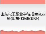 山东化工职业学院招生就业处(山东化院招就处)