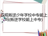 正规叛逆少年学校中专能上吗(叛逆学校能上中专)
