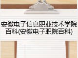 安徽电子信息职业技术学院百科(安徽电子职院百科)