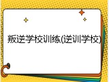 叛逆学校训练(逆训学校)