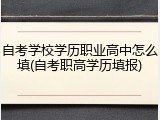自考学校学历职业高中怎么填(自考职高学历填报)