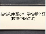 技校和中职少年学校哪个好(技校中职对比)