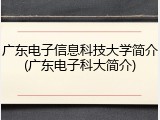广东电子信息科技大学简介(广东电子科大简介)