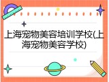 上海宠物美容培训学校(上海宠物美容学校)