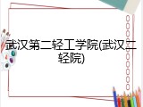 武汉第二轻工学院(武汉二轻院)