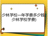 少林学校一年学费多少钱(少林学校学费)
