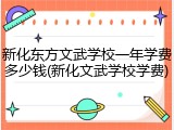 新化东方文武学校一年学费多少钱(新化文武学校学费)