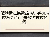 楚雄武定县数控培训学校技校怎么样(武定数控技校如何)