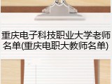 重庆电子科技职业大学老师名单(重庆电职大教师名单)