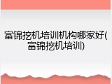 富锦挖机培训机构哪家好(富锦挖机培训)