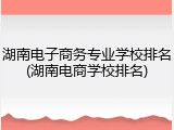 湖南电子商务专业学校排名(湖南电商学校排名)