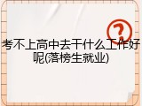 考不上高中去干什么工作好呢(落榜生就业)