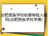 合肥贵族学校收费有钱人收吗(合肥贵族学校学费)