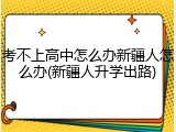 考不上高中怎么办新疆人怎么办(新疆人升学出路)