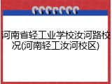 河南省轻工业学校汝河路校况(河南轻工汝河校区)