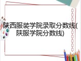 陕西服装学院录取分数线(陕服学院分数线)