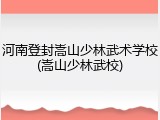 河南登封嵩山少林武术学校(嵩山少林武校)
