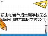 鞍山岫岩单招集训学校怎么样(鞍山岫岩单招学校如何)