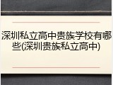 深圳私立高中贵族学校有哪些(深圳贵族私立高中)