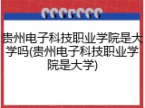 贵州电子科技职业学院是大学吗(贵州电子科技职业学院是大学)