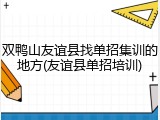 双鸭山友谊县找单招集训的地方(友谊县单招培训)
