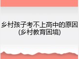 乡村孩子考不上高中的原因(乡村教育困境)