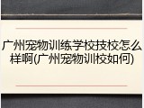 广州宠物训练学校技校怎么样啊(广州宠物训校如何)