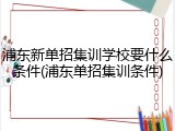 浦东新单招集训学校要什么条件(浦东单招集训条件)