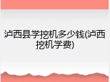 泸西县学挖机多少钱(泸西挖机学费)