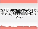 沈阳于洪数控技术学校职校怎么样(沈阳于洪数控职校如何)