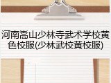河南嵩山少林寺武术学校黄色校服(少林武校黄校服)