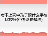 考不上高中孩子读什么学校比较好(中考落榜择校)