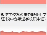 叛逆学校怎么申办职业中学证书(申办叛逆学校职中证)