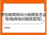 学校电商培训小结报告怎么写(电商培训报告撰写)