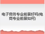 电子商务专业前景好吗(电商专业前景如何)