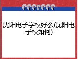 沈阳电子学校好么(沈阳电子校如何)