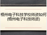 梧州电子科技学校师资如何(梧州电子科技师资)