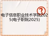 电子信息职业技术学院2025(电子职院2025)