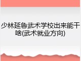 少林延鲁武术学校出来能干啥(武术就业方向)